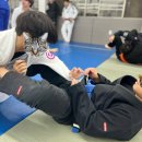 공명 유도 주짓수 이미지