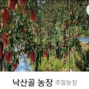 디알피부과의원 이미지