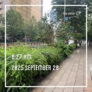 생활권11 | (2025.9.28) 마곡 코엑스 임장 후기