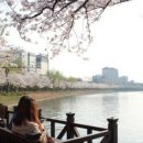 블루밍리듬체조 네이버블로그