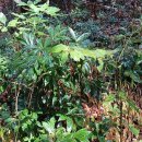 파노라마 제주 이미지