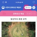월성박씨종중묘역 네이버블로그