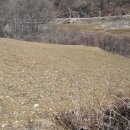 사과나무부동산중개사무소 이미지