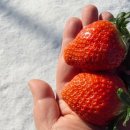 우공농장 이미지