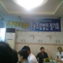 영농조합법인 뿌리 이미지