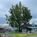 새미목욕탕 이미지