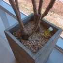 봄날모터스 이미지