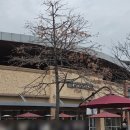 와이즈런 | 옷에 진심인 자의 여주 아울렛 원정기 &amp; 요지야마모토, 마르지엘라 쇼핑 후기