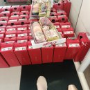 S0180 | 발레일기 - 두번째 토슈즈 (블락 헤리티지 S0 180)