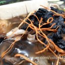 야생식당 이미지