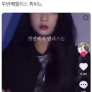 BTBT | 이 가격에 이 호사를 누릴 수 있다고요?;; 아이폰 스냅 '무로우스냅' 계약 후기