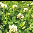 문희정아트홀 이미지