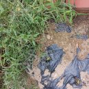 농협이용소 이미지