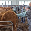 전북특별자치도 축산연구소 이미지