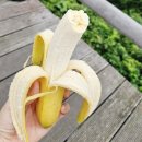 숙호산 등산로 화장실 1 | 20번째 인증지 경기도 가평 연인산 완만한 등산 코스 등산로 가까운 주차장