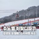 소노벨 타워 B 비발디파크 | 홍천 비발디파크 소노벨타워 B C 스노위랜드 패밀리 패키지 가격 할인예약