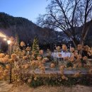 살롱 드 방동 이미지