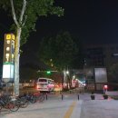 벼루재길 | 정선 꽃벼루재길+ 동강자전거길