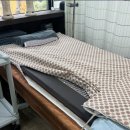 바이오매트 이미지