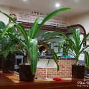 큰집설렁탕 이미지