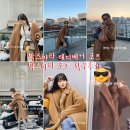 1년중 가장 큰 혜택! 막스마라 테디베어 카멜 35%할인코드!!