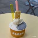 단양-단양-03 | 단양 구경시장 마늘 젤라또 맛집 아로카 내돈내산 후기