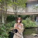 스타시그널