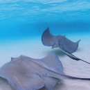 케이비치 이미지