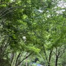 원터길 22 이미지