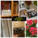 삼원노동조합 | 코수술후기) 청담윤성형외과는 어떨까?