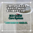 남양동물병원(출장전문) | 울산카페트세탁 전문 에코클린, 세탁 품질 차이, &#34;결과 보고 놀랄 준비 되셨나요?&#34;