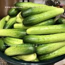 소우농장 이미지