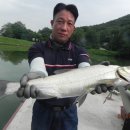 향어집 - 창원시 마산회원구 양덕북4길 108 | 향어집