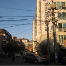 곰달래로(남측) 네이버블로그