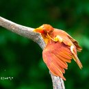 휴암로(1) 이미지