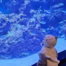 남원읍-88 이미지