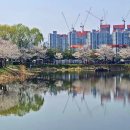 청수호수공원 이미지