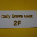 컬리브라운(Curly Brown)