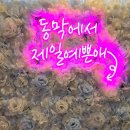 동막여관 | 강화도 애견동반펜션 동막여관 펜션 다녀온 후기