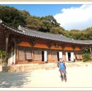 풍기인삼시장 이미지