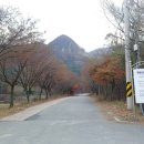 풍암제길 이미지