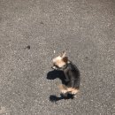 바닷가애펜션 이미지