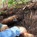 종삼농장 이미지