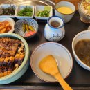 힘력풍천장어 | 삼척맛집 점심특선 장어덮밥 힘력풍천장어