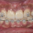 네츄럴기공소 이미지