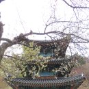 간전-2 이미지