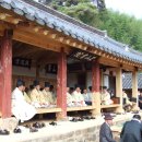유림-12 이미지