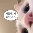 성신여자대학교 운정그린캠퍼스