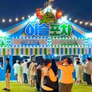 가평 자라섬 이슬라이브페스티벌 후기 자라섬 남도 꽃정원