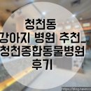 청천종합동물병원 이미지